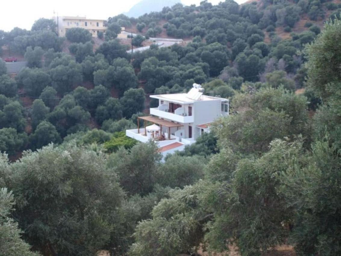 플라키아스 Olive Grove 아파트 외부 사진